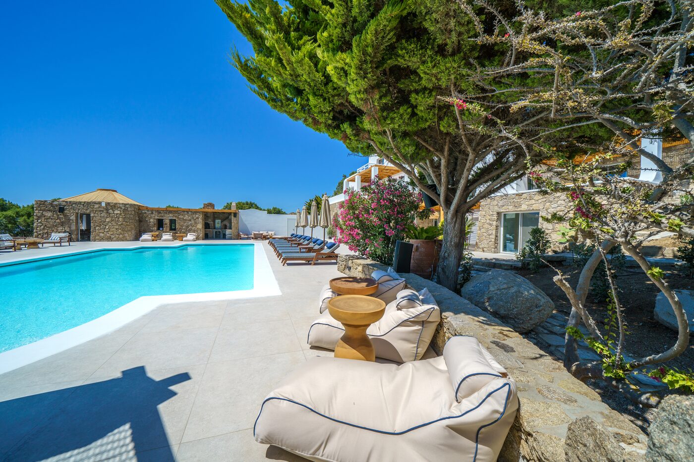 Pool framed by an olive tree and stone planters at the Primadonna estate